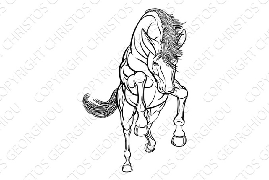 Rearing Horse in Illustrations - product preview 8