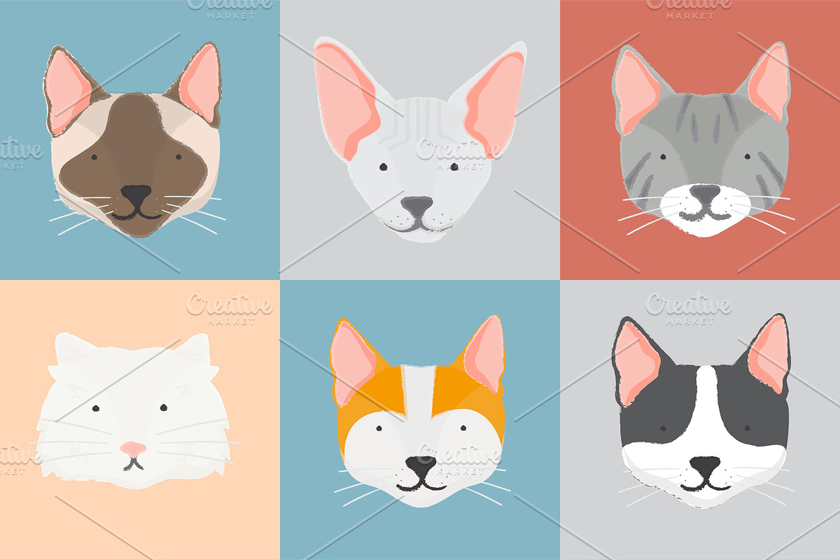 Illustration of cats collection in Illustrations - product preview 8
