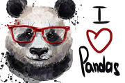 watercolor cute panda