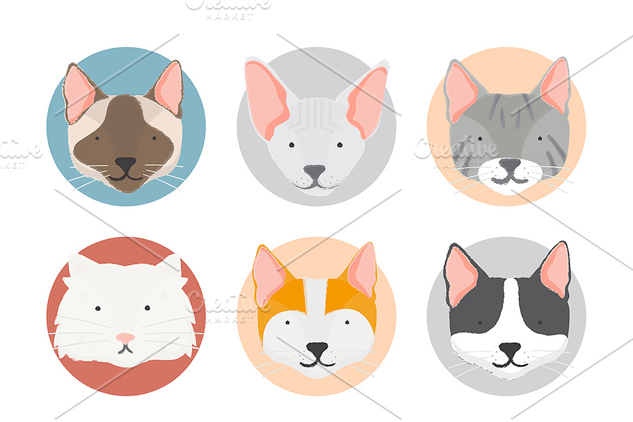 Illustration of cats