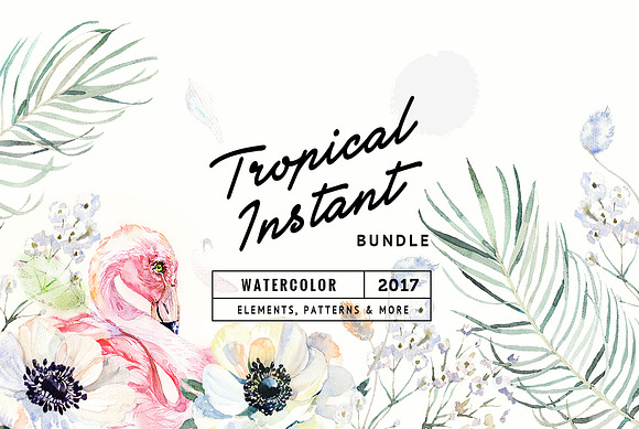 Tropical Instant in Illustrations - product preview 10