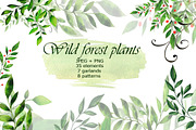 Wild forest plants