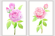Watercolor Vintage Pink Rose Clipart