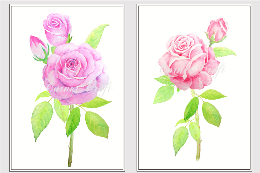 Watercolor Vintage Pink Rose Clipart in Illustrations - product preview 8