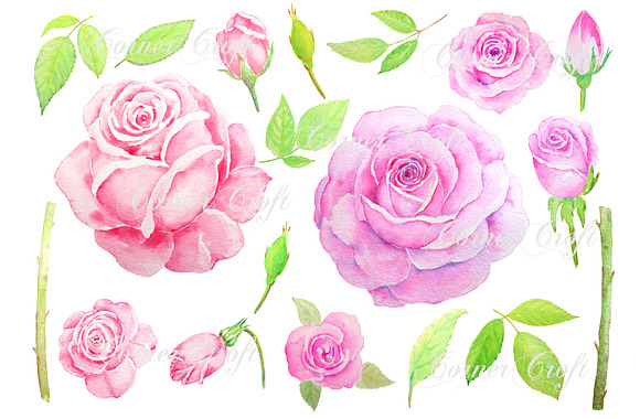 Watercolor Vintage Pink Rose Clipart in Illustrations - product preview 1