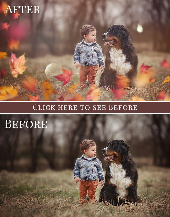 Colorful Fall Photo Overlays in Add-Ons - product preview 1