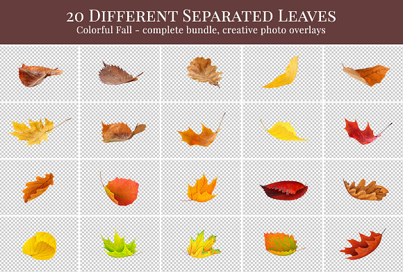 Colorful Fall Photo Overlays in Add-Ons - product preview 7