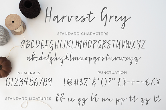Harvest Grey in Script Fonts - product preview 8