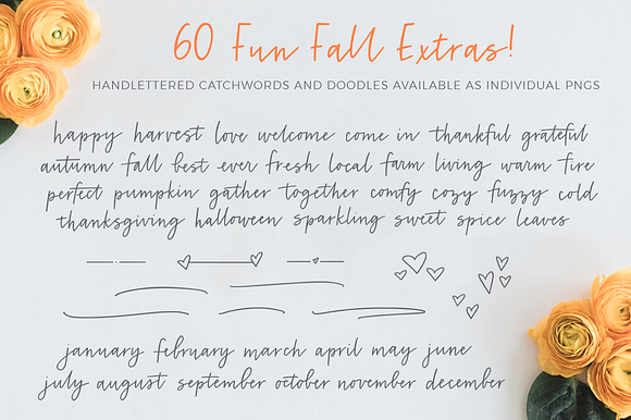 Harvest Grey in Script Fonts - product preview 9