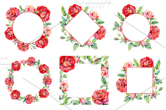 Roses PNG watercolor flower set in Illustrations - product preview 2