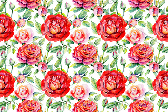 Roses PNG watercolor flower set in Illustrations - product preview 3
