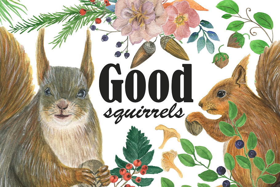Good squirrels in Illustrations - product preview 8