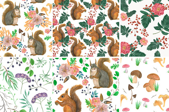 Good squirrels in Illustrations - product preview 5
