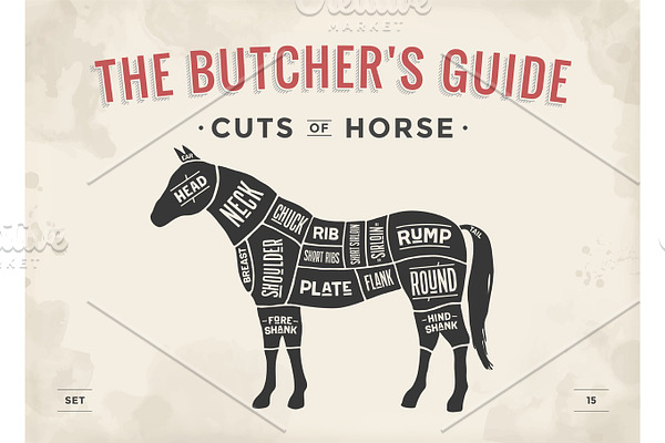 Cut of meat set. Poster Butcher diagram, scheme - Horse