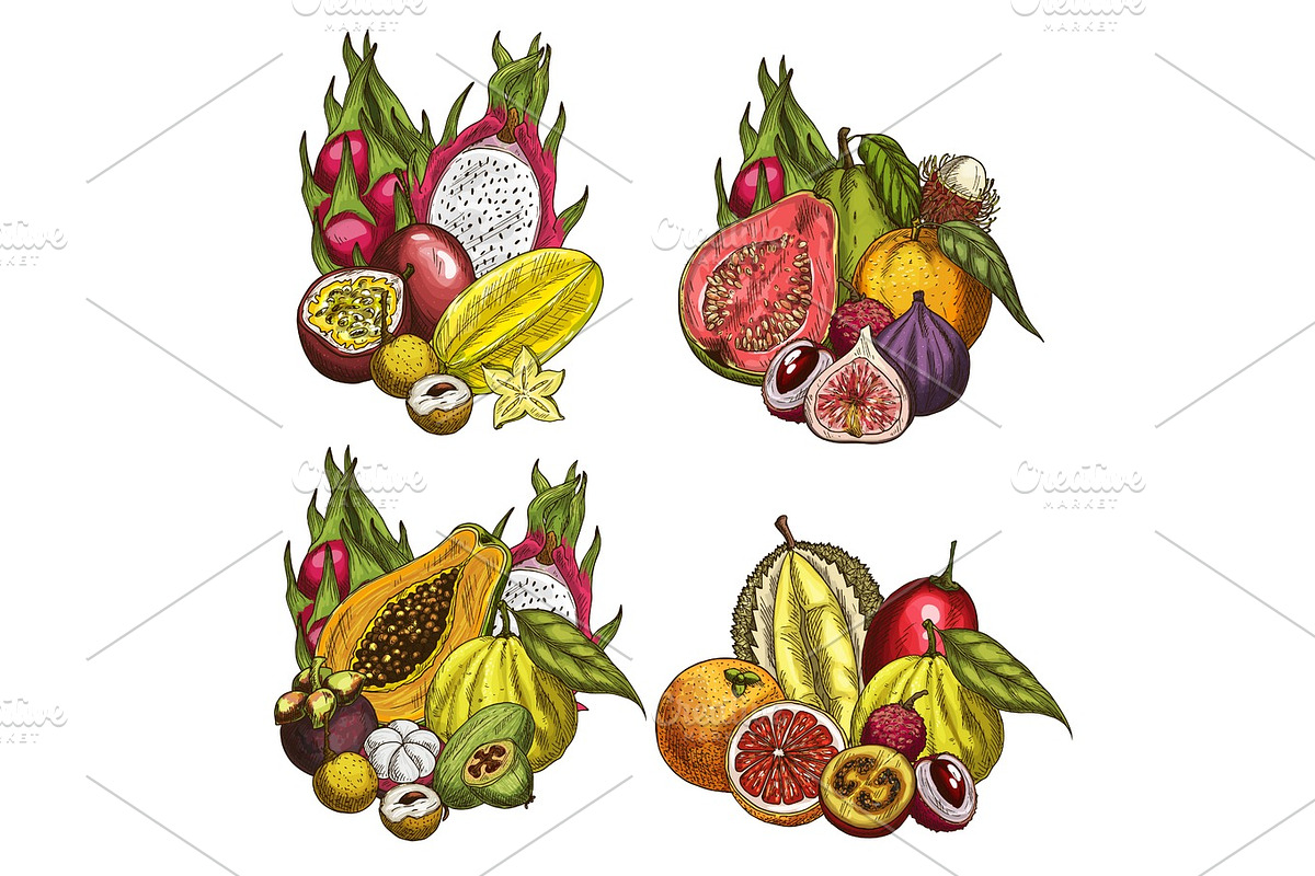 Exotic fruit and tropical berry sketches in Illustrations - product preview 8