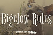 Bigelow Rules Pro