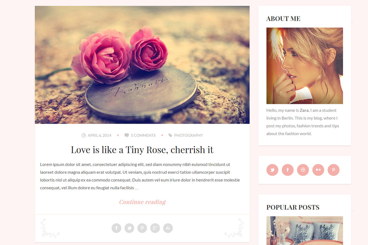 Zara - Mini Personal Wordpress Blog in WordPress Minimal Themes - product preview 8