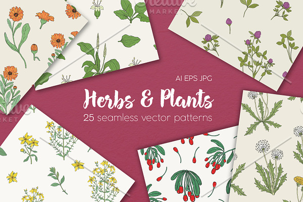 Seamless patterns of herbs and plant