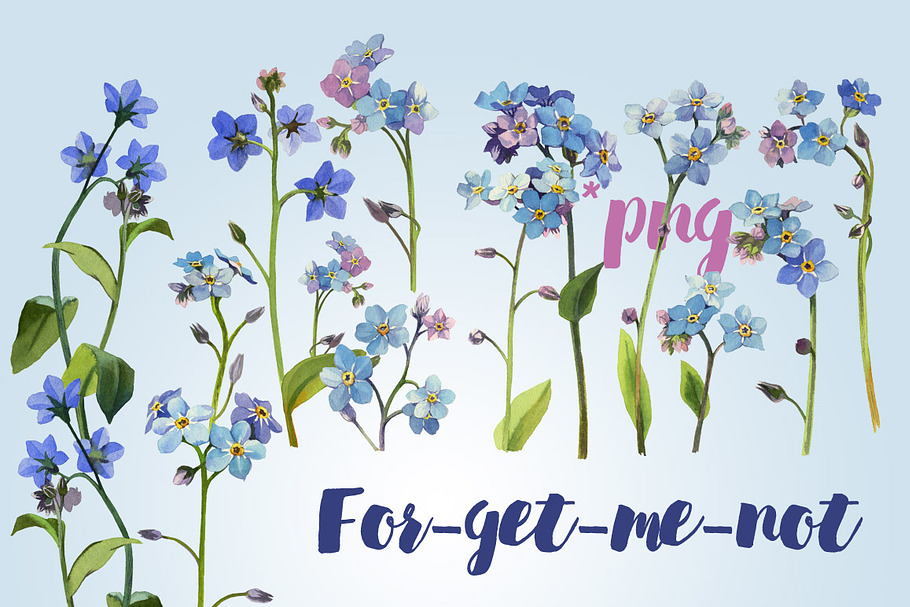 Watercolor set - forget-me-nots in Illustrations - product preview 8