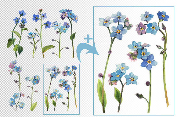 Watercolor set - forget-me-nots in Illustrations - product preview 1