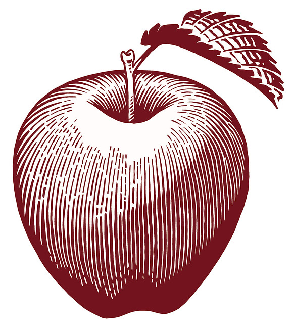 Color Apples in Illustrations - product preview 4