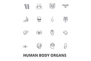 Human body organs, human body, medical, human anatomy, body system, body part line icons. Editable strokes. Flat design vector illustration symbol concept. Linear signs isolated