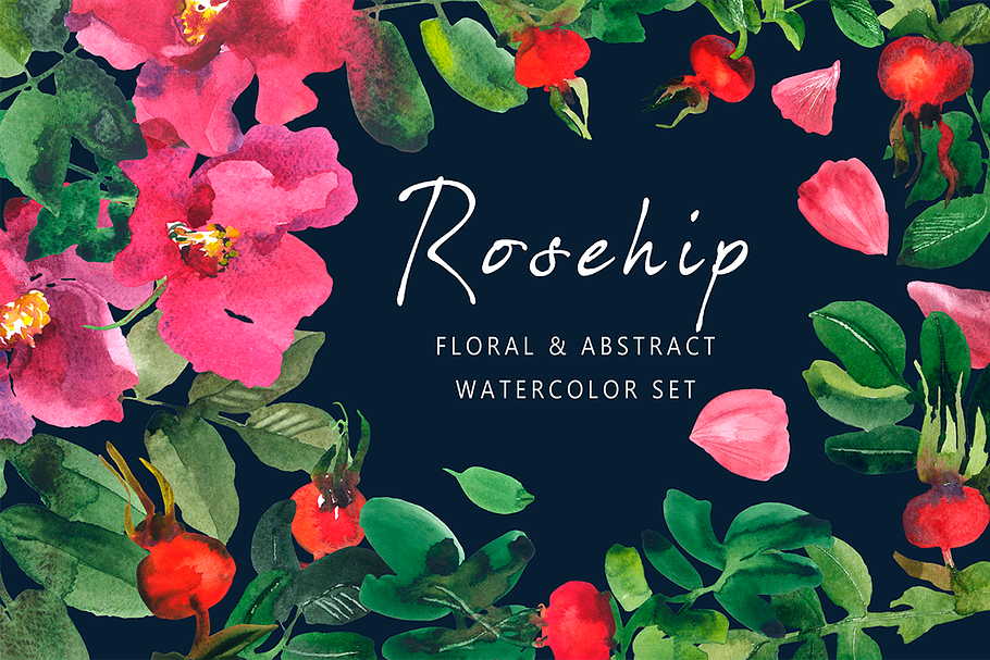 Rosehip - Floral & Abstract Set in Illustrations - product preview 8
