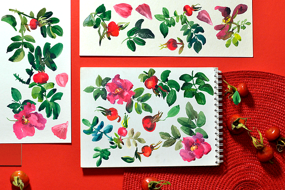 Rosehip - Floral & Abstract Set in Illustrations - product preview 2