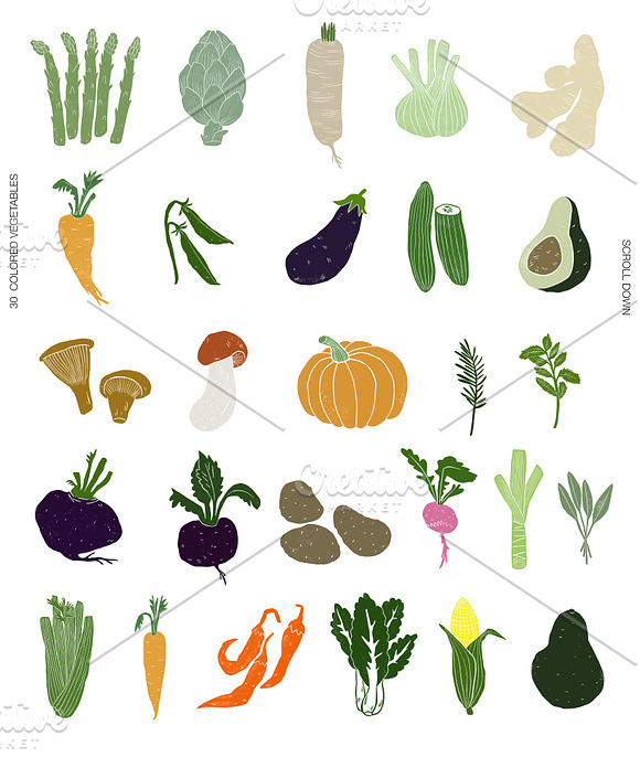 Vegetable garden ( 50 vegetables) in Objects - product preview 7