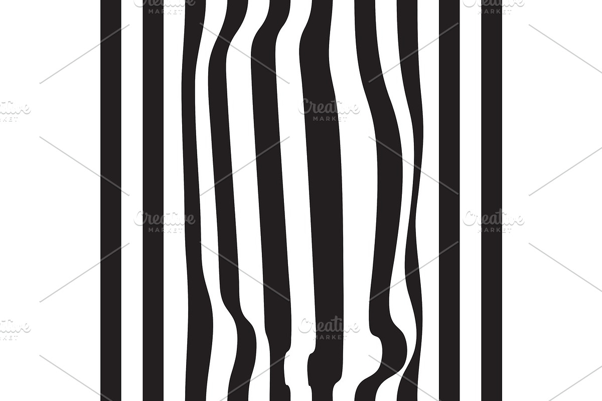 Striped abstract background. black and white zebra print. Vector seamless illustration. eps10 in Illustrations - product preview 8