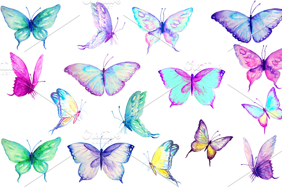 Watercolor Butterfly Collection in Illustrations - product preview 8