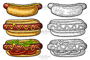 Hotdog with tomato, mustard, leave lettuce. Vector color engraving