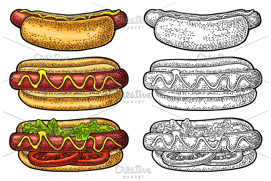 Hotdog with tomato, mustard, leave lettuce. Vector color engraving in Objects - product preview 8