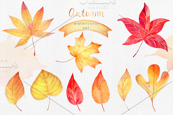 Watercolor Autumn Clipart Colection in Illustrations - product preview 10