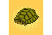 Turtle hiding in shell pop art vector illustration