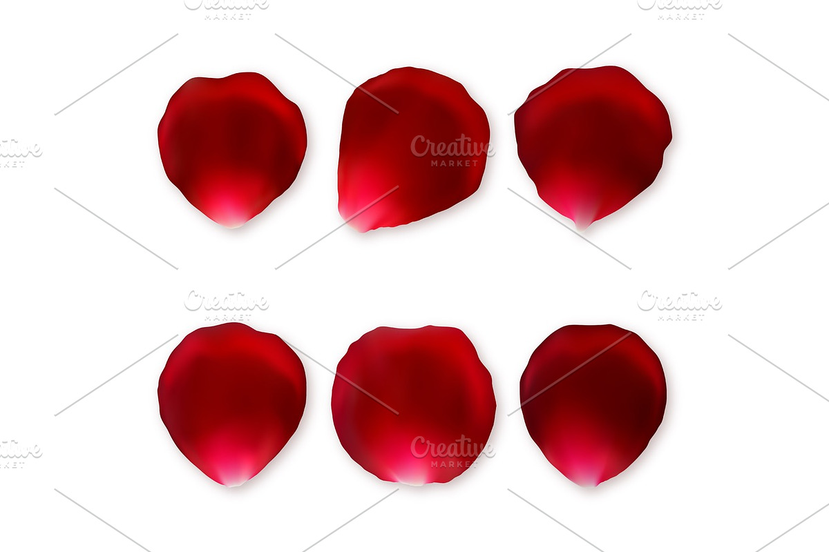 Set of red rose petals in Illustrations - product preview 8