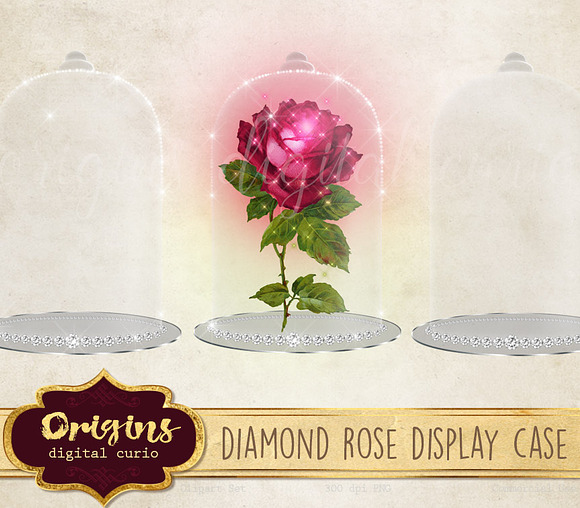 Diamond Rose Display Case in Illustrations - product preview 1
