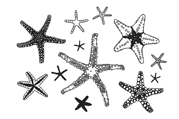 Starfishes set + patterns + cards in Patterns - product preview 1