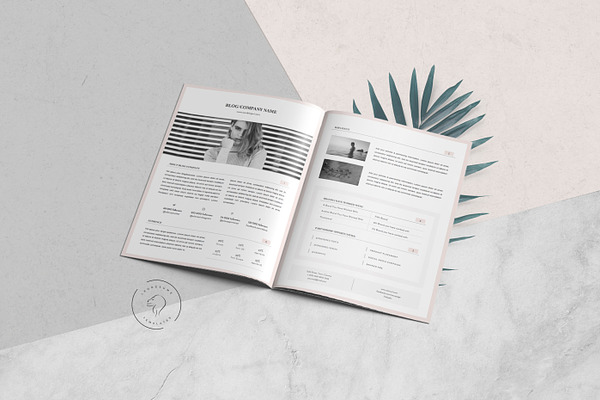 Media Kit Template - 3 Pages