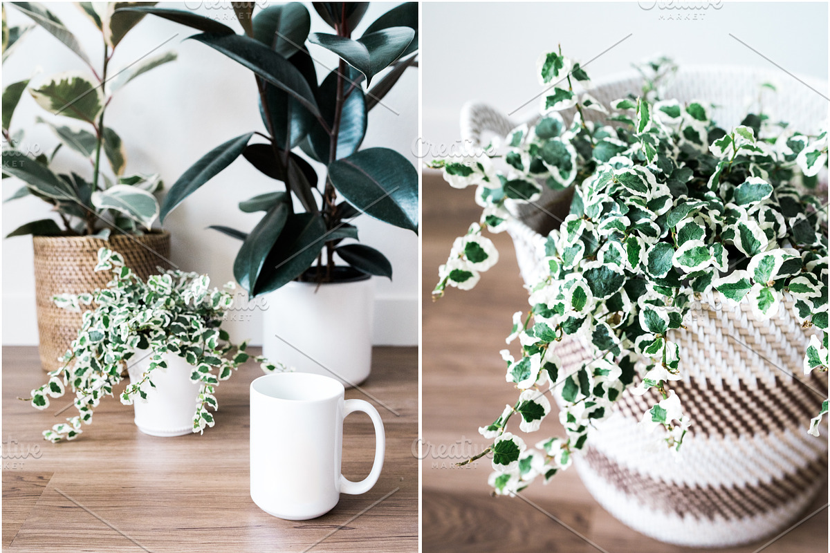 Neutral Greens Styled Stock Photos in Product Mockups - product preview 8