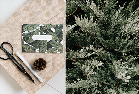 Neutral Greens Styled Stock Photos in Product Mockups - product preview 4