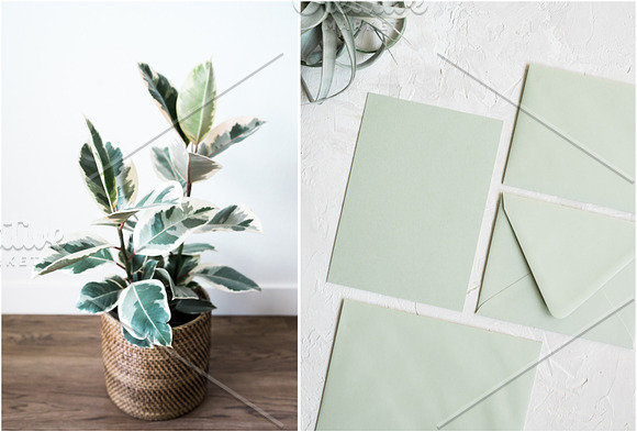 Neutral Greens Styled Stock Photos in Product Mockups - product preview 6