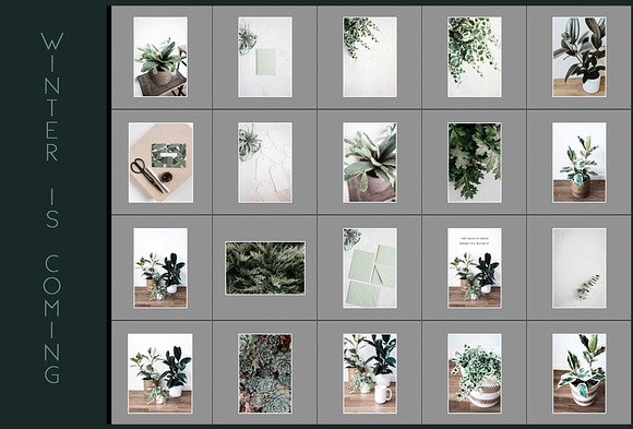 Neutral Greens Styled Stock Photos in Product Mockups - product preview 11