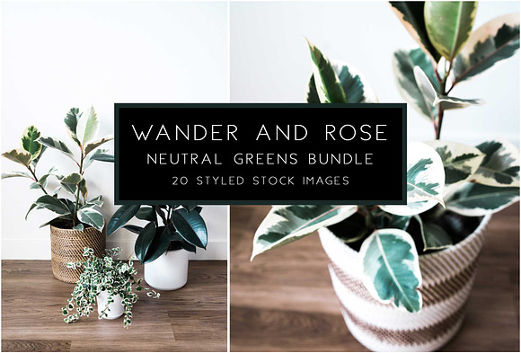 Neutral Greens Styled Stock Photos in Product Mockups - product preview 12