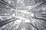 Monumental Winter Forest Photo Set