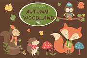 Autumn woodland Clipart