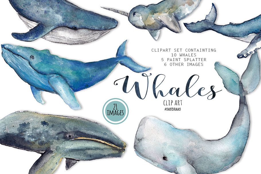 Whale clip art watercolor in Illustrations - product preview 8