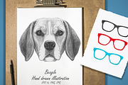 Beagle / Glasses