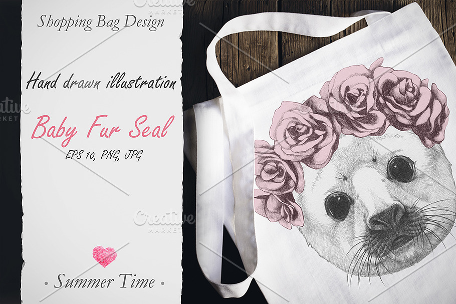 Baby Fur Seal / Decor in Illustrations - product preview 8