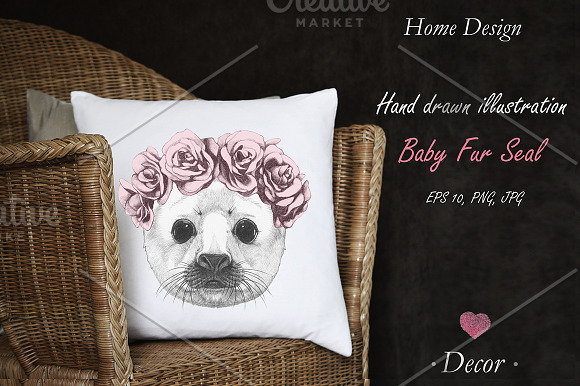 Baby Fur Seal / Decor in Illustrations - product preview 1